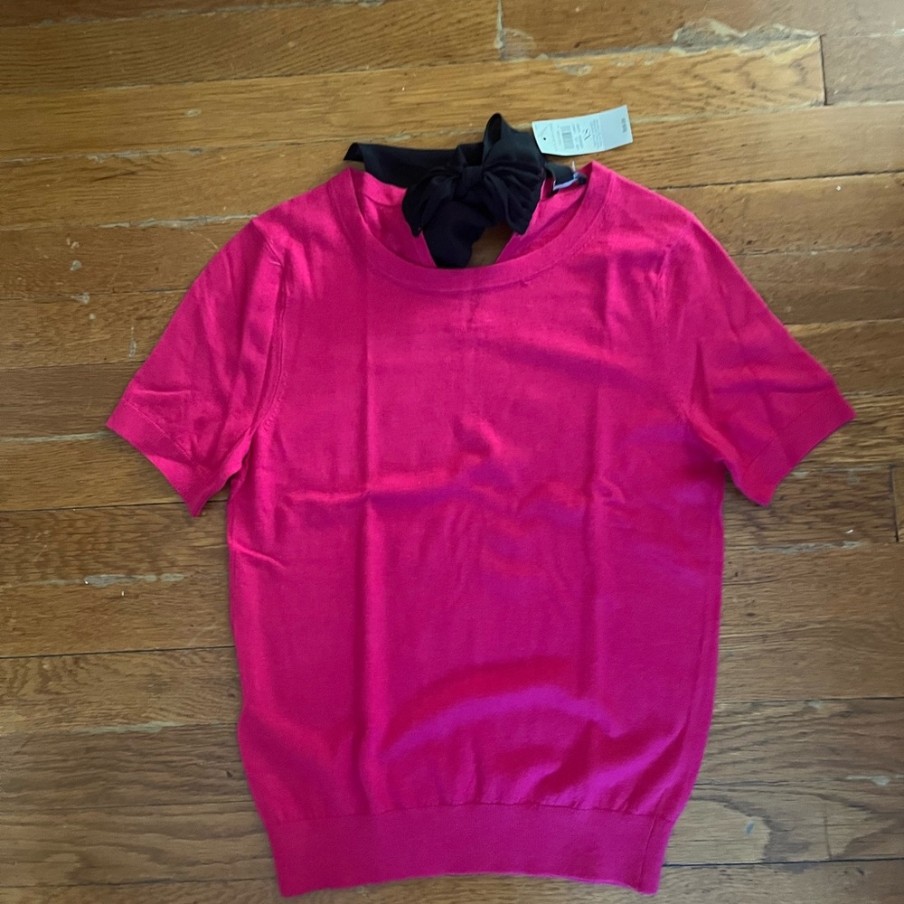 Ann Taylor Fuchsia Top with Black Accent